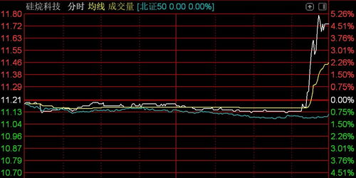 北交所震蕩調整 逾百股下挫，技術開發板塊承壓——以n鴻智超14%領跌為例